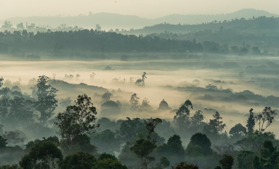 Bansoa, Cameroon