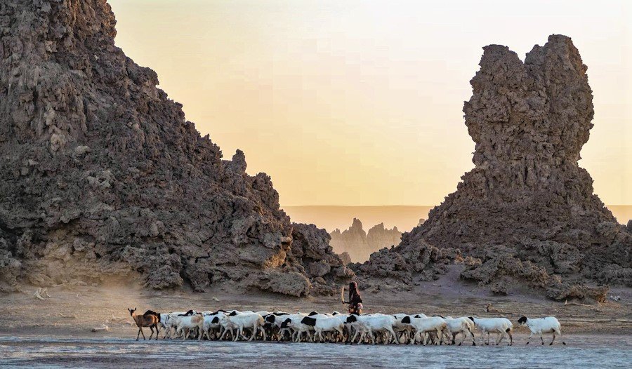 Lac Abbe, Djibouti