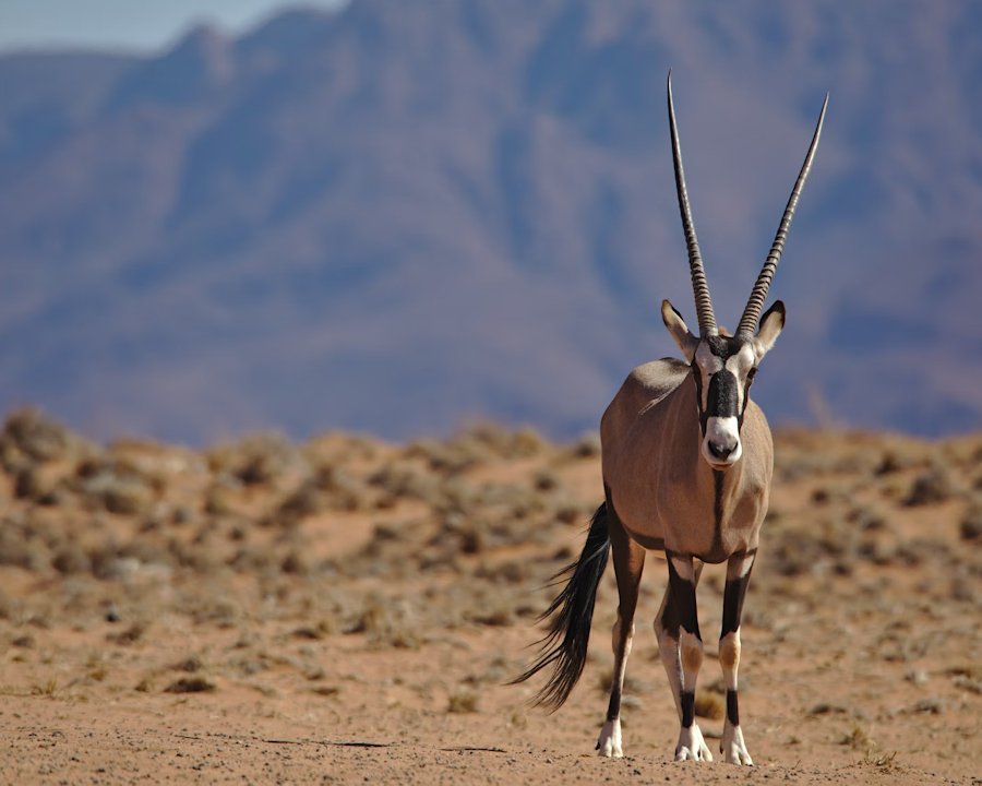 Namibia