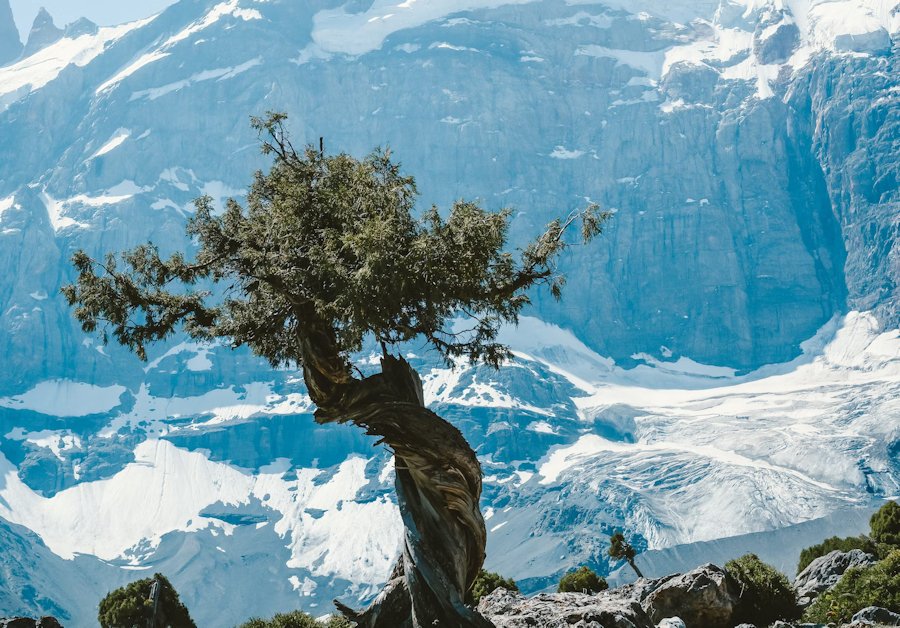 Ayni, Tajikistan