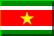 Suriname Flag