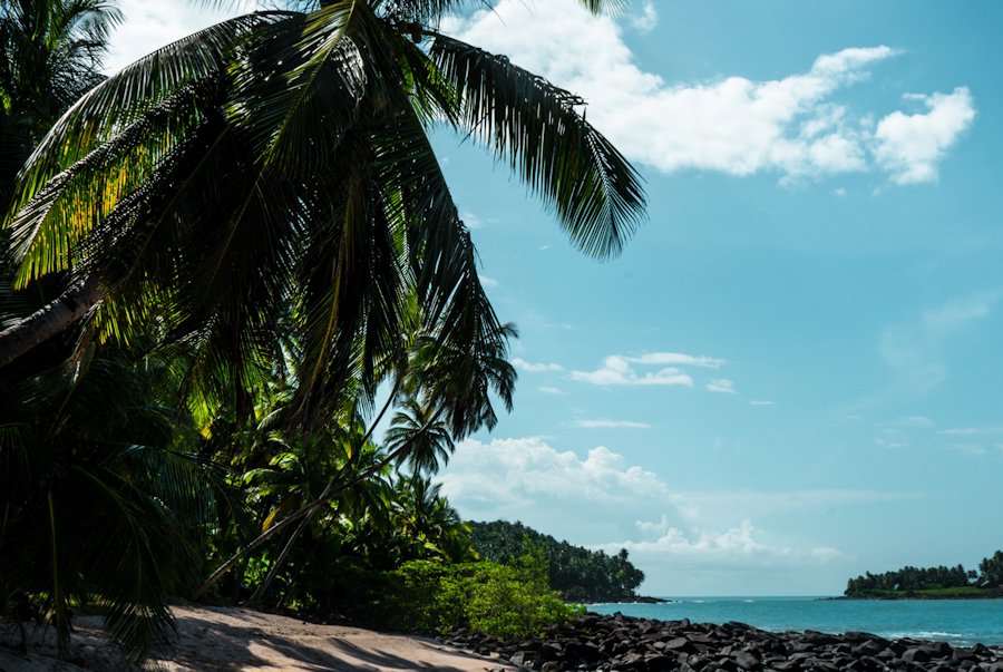 Îles du Salut, Cayenne, French Guiana