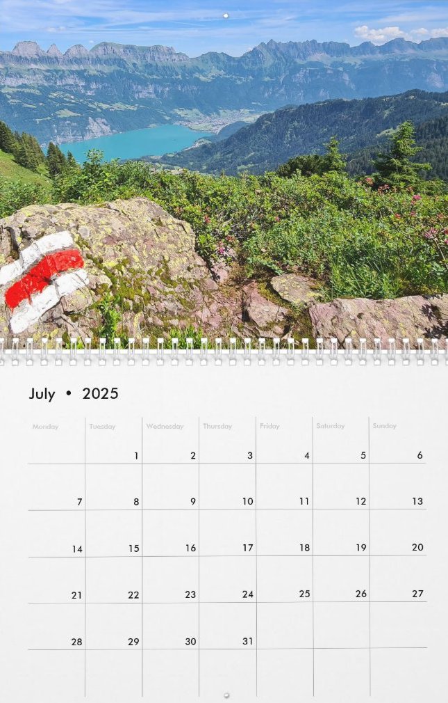 Travel Notes Wall Calendar - July