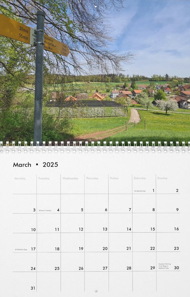 Travel Notes Wall Calendar - March