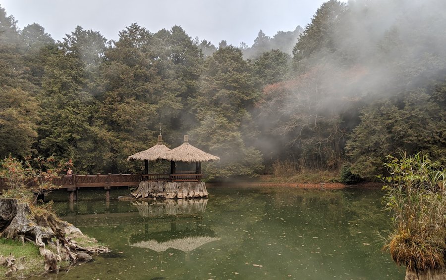 Alishan National Forest