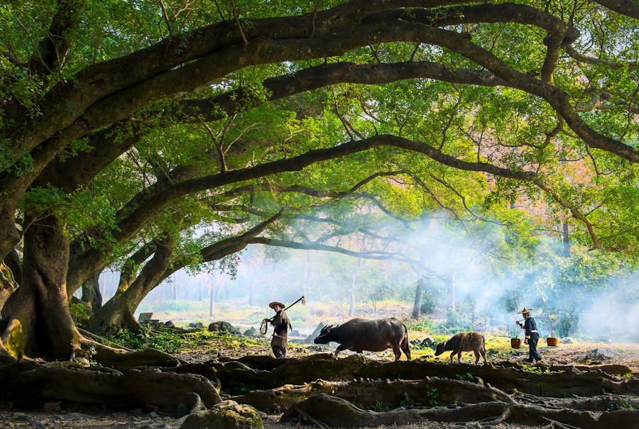 China - As Old as History