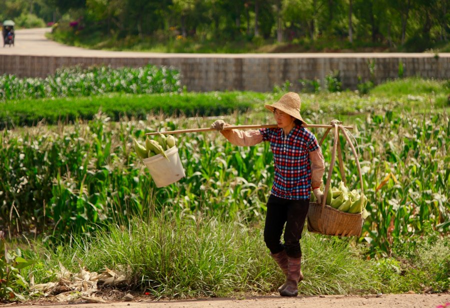 Farming in China