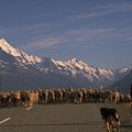 New Zealand Mt Cook