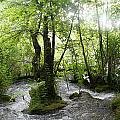 Plitvice Lakes, Croatia