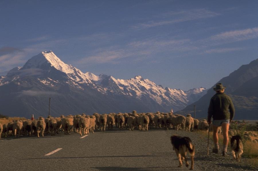 Mount Cook, New Zealand Travel Photography