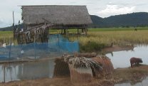 Houses on Si Phan Dong, Laos